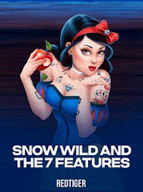Snow Wild And The 7 Features Slot Terbaru: RTP dan Volatilitas Lengkap — ikon game